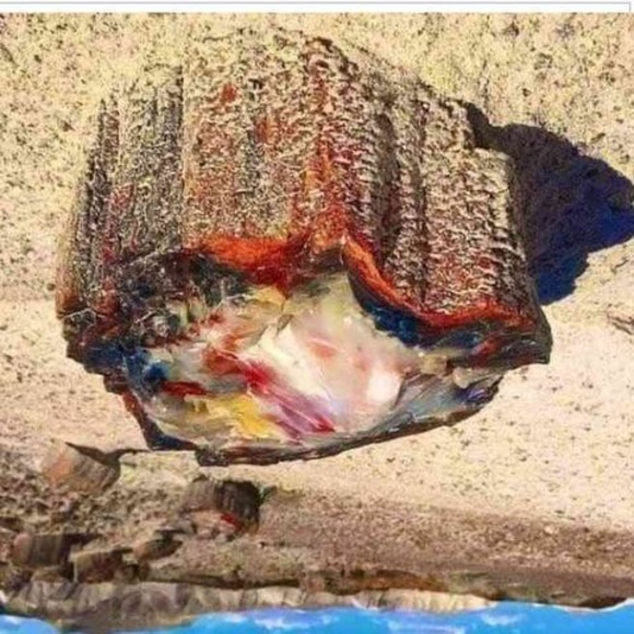 Meet your Posher, Jason - Picture 1 of 1